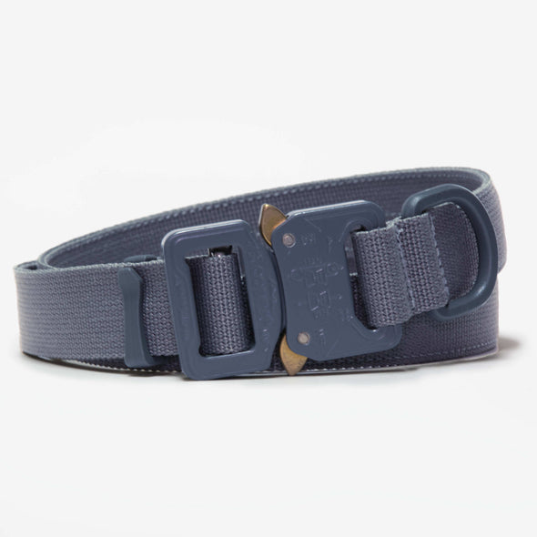Wolf Gray / Small / None
